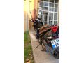 Sahibinden TVS Ntorq 125 