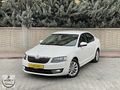 DEĞİŞENSİZ OCTAVİA 1.6 TDİ Elegance otomatik