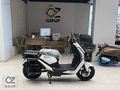 ÖZ MOTORDAN MOTOLUX PİTTON 9000