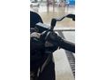Sahibinden Honda PCX125
