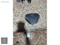 Pejo bipper direksiyon Aırbag