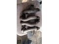 RENALUT KANGO 1.9 EMME MANİFODU