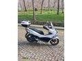 activa parasina pcx