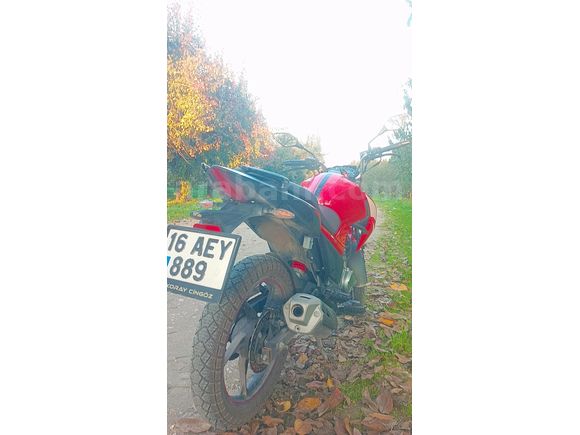 Sahibinden RKS Titanium 220