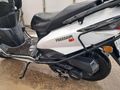Sahibinden Arora Freedom 50
