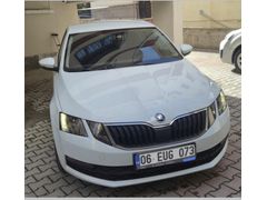 Sahibinden Skoda Octavia 1.6 TDI Optimal 2019 Model
