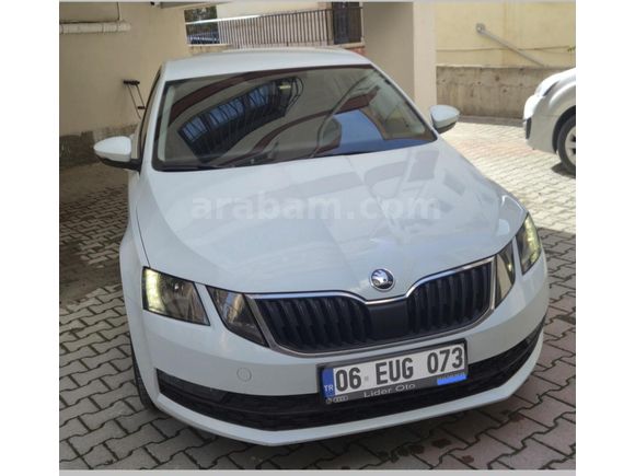 Sahibinden Skoda Octavia 1.6 TDI Optimal 2019 Model