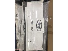 HYUNDAİ H-100 ORJ ÖN KAPUTLAR