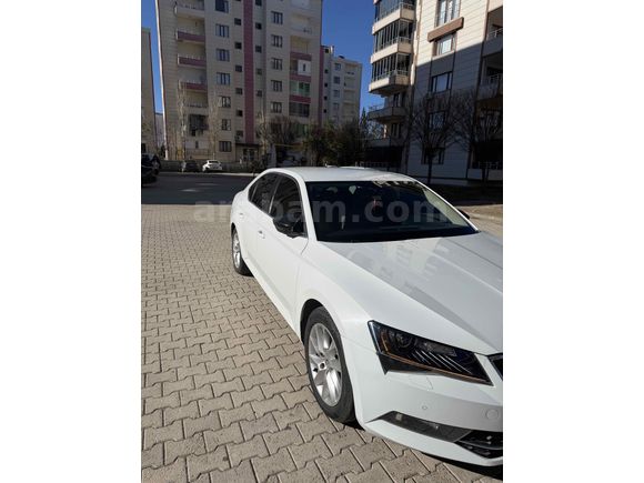 Sahibinden Skoda SuperB 1.6 TDI Style 2017 Model 