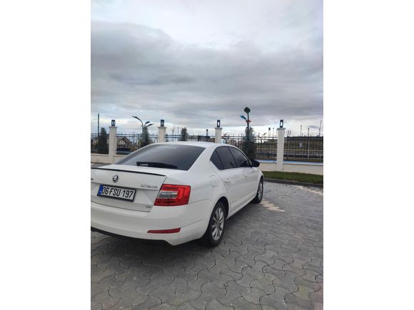 Sahibinden Skoda Octavia 1.6 TDI Elegance CR 2013 Model
