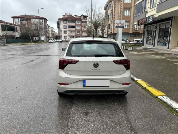 Akademisyen den temiz polo