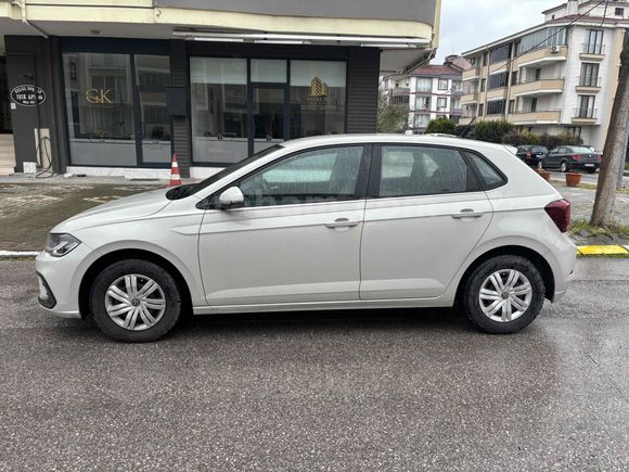 Akademisyen den temiz polo