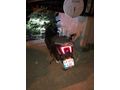 Sahibinden Mondial 125 Lavinia Pro İstanbul