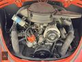 TİTAN MOTORS ORJINAL VW BEETLE 1302LS 1.6cc İKİNCİ ELDEN