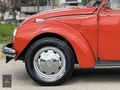 TİTAN MOTORS ORJINAL VW BEETLE 1302LS 1.6cc İKİNCİ ELDEN