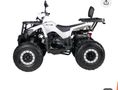 Sahibinden ATV & UTV Revolt RA5 Van