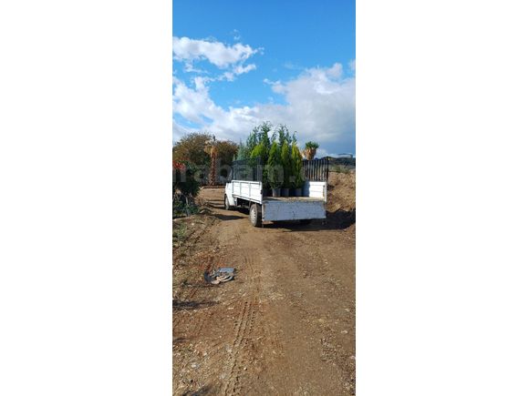 Sahibinden Ford Trucks Transit 190 P