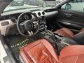 POLATOĞLUN,DAN FORD MUSTANG (BAYİİ ÇIKIŞLI) .