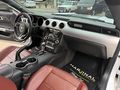 POLATOĞLUN,DAN FORD MUSTANG (BAYİİ ÇIKIŞLI) .