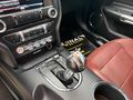 POLATOĞLUN,DAN FORD MUSTANG (BAYİİ ÇIKIŞLI) .
