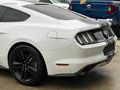 POLATOĞLUN,DAN FORD MUSTANG (BAYİİ ÇIKIŞLI) .