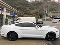 POLATOĞLUN,DAN FORD MUSTANG (BAYİİ ÇIKIŞLI) .