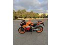 Sahibinden Honda CBR 600 RR 