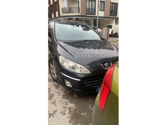 SUNROOF TEMİZ 407