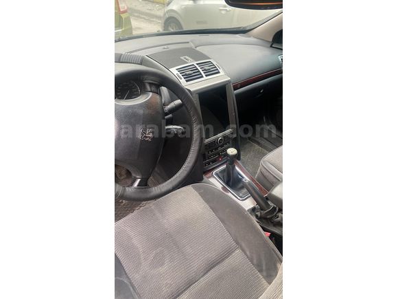 SUNROOF TEMİZ 407