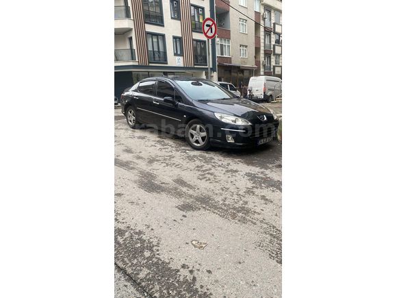 SUNROOF TEMİZ 407
