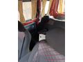 Sahibinden Renault Kangoo 1.4 RNA 2001 Model