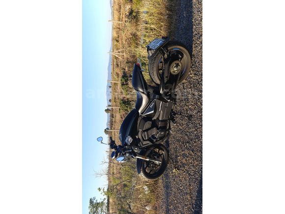 Sahibinden Regal Raptor Pilder 250