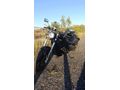 Sahibinden Regal Raptor Pilder 250