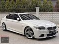 2011 BMW 5.20d BORUSAN ÇIKIŞLI M SPORT VAKUM/NBT/RECARO