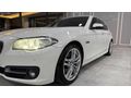 HS MOTORS 2014 BMW 520i