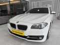 HS MOTORS 2014 BMW 520i