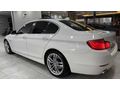 HS MOTORS 2014 BMW 520i