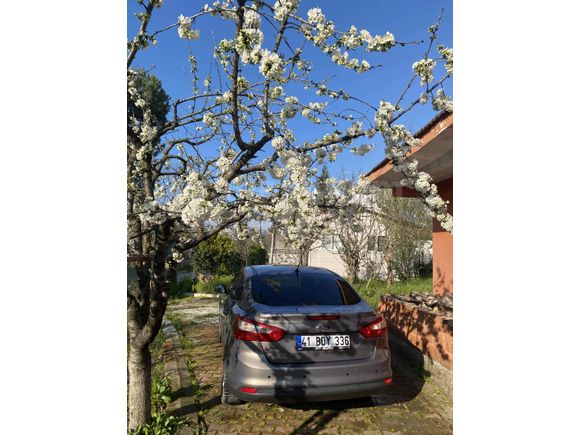 Sahibinden Ford Focus 1.6 TDCi Trend 2012 Model Kocaeli