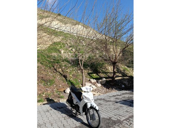 Sahibinden Ekstralı Kuba Ege 50