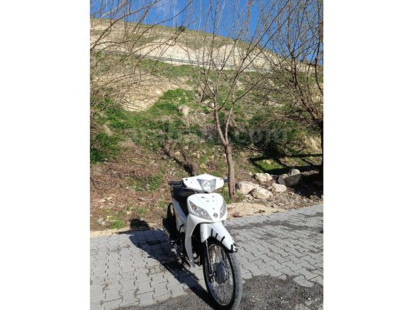 Sahibinden Ekstralı Kuba Ege 50