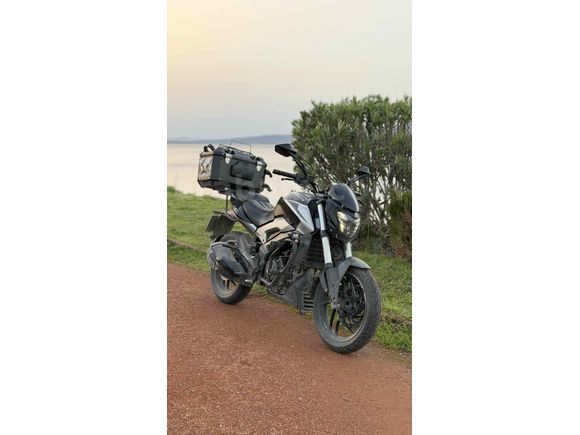Bajaj Dominar 250 D 2023