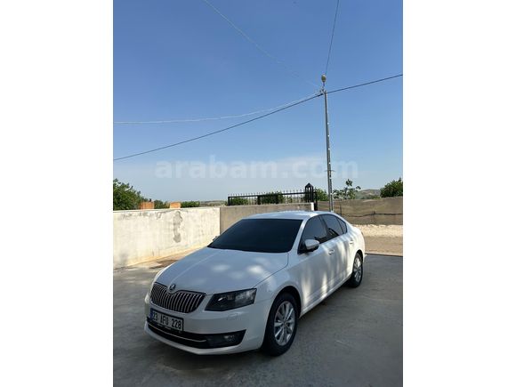 Sahibinden Skoda Octavia 1.6 TDI Elegance CR 2013 Model