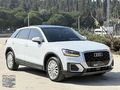 ''BİGA OTOMOTİV'' AUDİ Q2 30 TDI Design S-Tronic
