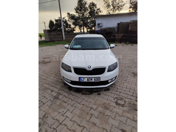 Galeriden Skoda Octavia 1.6 TDI Ambition 2013 Model Mardin