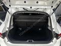 TAM OTOMATİK CLİO