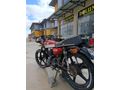 Sahibinden Kuba CG 50 Pro New