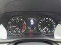 SÜMERHAN OTO | 2024 MODEL SKODA OCTAVİA 1.0 E-TECH ELİTE DSG