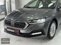2023-SKODA OCTAVİA-1.5 e-TEC-DSG-ELİTE-HİBRİT