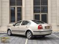 JOY GROUP TAN HATASIZ BOYASIZ OCTAVİA