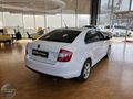 HATASIZ BOYASIZ 2013 MODEL SKODA RAPİD 1.6 TDİ ELEGANCE